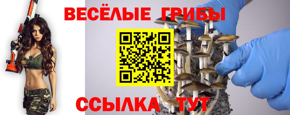 Псилоцибиновые грибы ЛСД  Вход с VPN  Псилоцибиновые грибы Cubensis  Подольск 